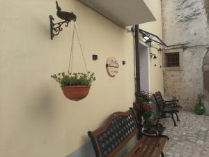 RoccamandolfiB&B Vivilmatese的一个带长凳和花盆的庭院
