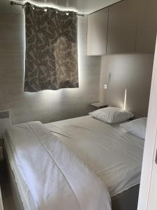 SancheyDomaine Les Nids du Lac的卧室配有一张大白色床和窗户