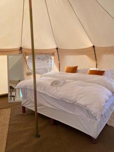 Shāhiq游猎沙漠营地度假酒店的帐篷内一间卧室,配有一张床