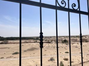 托泽尔Dar Chamsa的享有沙漠景致的开放式窗户