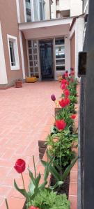 佩奇Hotel Peja的建筑物前的一排红花