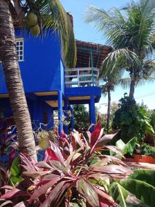 卡诺格布拉达VILLA com Wi-Fi, cozinha, parking, Canoa Quebrada zona centro, jardim tropical, tudu prossimo a pe的棕榈树和植物的蓝色房子