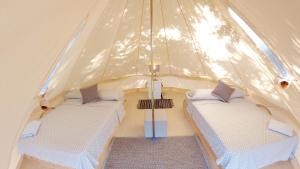 蓬塔查梅Panama Kite Center的帐篷中间设有两张床