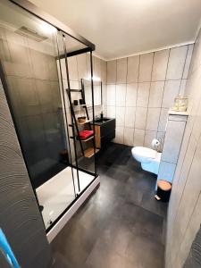 艾瓦耶Le petit Broux的一间带玻璃淋浴和卫生间的浴室