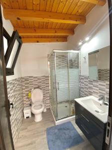 弗龙特拉CASITA LAS VISTAS的浴室配有卫生间、淋浴和盥洗盆。