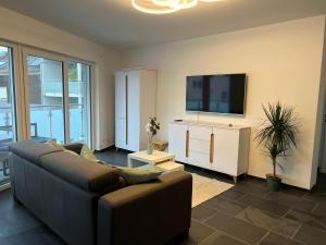 美因茨Modern Apartment Mainz by PMA的带沙发和平面电视的客厅