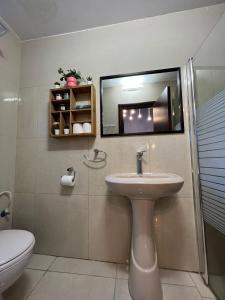耶路撒冷central ben yehuda apartment的一间带水槽、卫生间和镜子的浴室