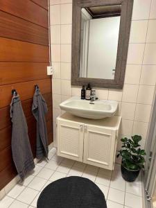 萨普斯堡Nyoppusset og romslig leilighet med 6 soveplasser i et familievennlig område的一间带水槽和镜子的浴室