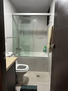 科恰班巴Departamento Ebano Apt 1E的一间带卫生间和玻璃淋浴间的浴室