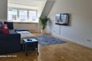 卡尔斯鲁厄Modernes Apartment mit 3 Zimmern的带沙发和电视的客厅