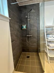 努克Nuuk Villa Hostel的带淋浴的浴室和玻璃门