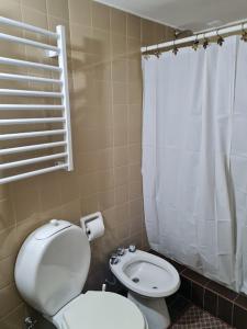 洛斯佩妮滕特斯Aires de Montaña - Departamento en Los Penitentes, Mendoza的一间带卫生间和淋浴帘的浴室