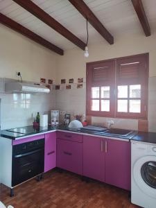 萨莱比梅Mango Villa的厨房配有紫色橱柜和洗衣机