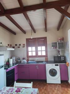 萨莱比梅Mango Villa的厨房配有紫色橱柜和洗衣机