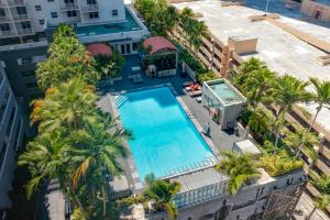 迈阿密财富之家套房公寓式酒店的享有棕榈树建筑中游泳池的顶部景色