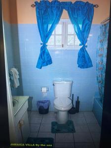 圣玛丽Jamaica Villa By The Sea的蓝色的浴室设有卫生间和窗户。