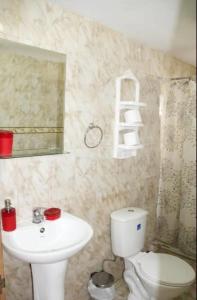 安加罗阿Mata ki te Rangi Rapa Nui的浴室配有白色卫生间和盥洗盆。