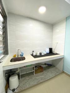哥打丁宜Baiduri Homestay的一个带水槽和卫生间的浴室台面