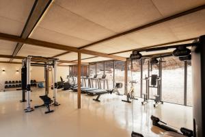 欧拉Our Habitas AlUla的健身房设有数台跑步机和有氧运动器材