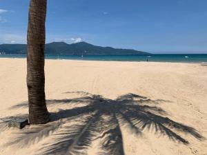 岘港Central Beach Hotel的海滩上棕榈树的阴影