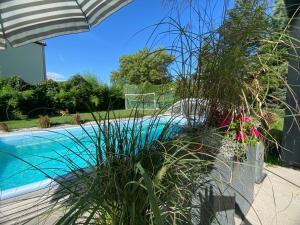 马克莱贝格Pool & Lake Holiday Home的一个带遮阳伞和一些植物的游泳池