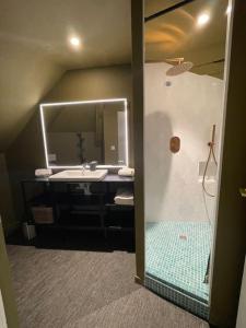 雷恩Maison du Thabor的浴室配有盥洗盆和带镜子的淋浴
