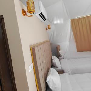 亚喀巴Wadi Rum Marcanã camp的一间设有两张床的客房,墙上有一盏灯