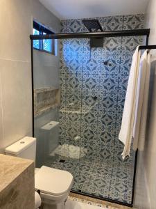 Lagoa NovaPOUSADA CAFÉ DU'LIRIO的浴室设有卫生间和蓝色及白色瓷砖淋浴。