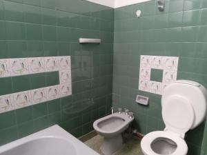 GerliL&J Departamento的绿色瓷砖浴室设有卫生间和坐浴盆