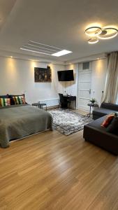 阿姆斯特丹Studio with sauna的一间卧室配有一张床、一张沙发和一台电视