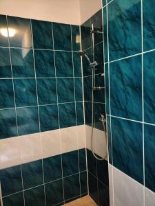 罗兹Gościniec u Zawierki的浴室设有蓝色瓷砖淋浴。