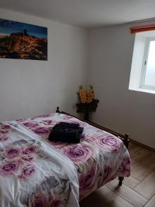 贝加德圣马特奥Casa Azul Mountain Retreat的一间卧室配有一张带粉色床单的床和一扇窗户。