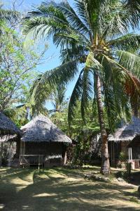 卡里蒙贾瓦邦加佳贝度假屋的两座小屋旁边有一棵棕榈树