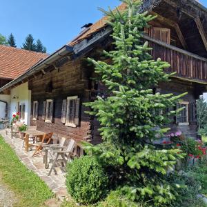 珀劳Moarhold Almhaus - Natur & Ruhe - Die Almhütte im Pöllauer Tal的小木屋前的圣诞树