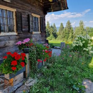 珀劳Moarhold Almhaus - Natur & Ruhe - Die Almhütte im Pöllauer Tal的一座鲜花盛开的老房子