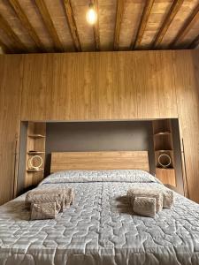 博尔塞纳Agriturismo Iride的一间卧室配有一张带两个枕头的床