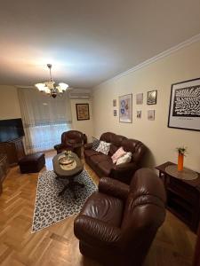 ZemunCentral apartment Zemun的客厅配有真皮沙发和桌子