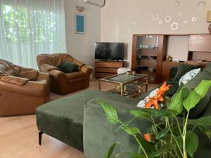 索林Quite beautiful apartment in the Split Neda with 4bedrooms的客厅配有两张沙发和一台电视机