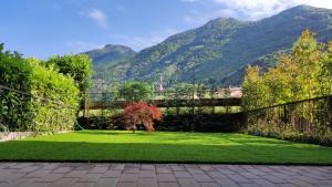 IntrobioLa casa di Sara in Valsassina的花园内有绿色的草坪,后面是群山