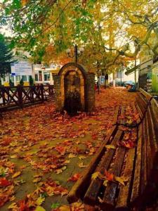 科扎尼Cozy place的公园长凳,地面上有秋叶