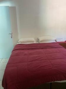 布卢梅瑙Pousada Tia Moni的一间卧室配有一张带红色毯子的大床