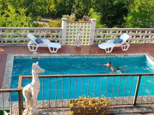 特尔尼Antica Terrazza的一个人在游泳池里,一个人在游泳池里,一个人在游泳池里