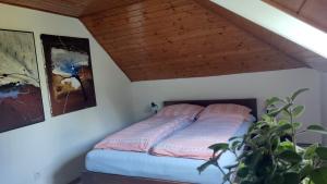 兹林Úlehla House的卧室内的一张床铺,设有木制天花板