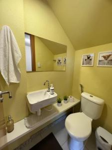 马塔迪圣若昂Village Ninho da Jandaia的浴室配有白色卫生间和盥洗盆。
