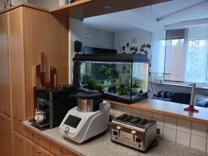 马希特伦克Maxi's Home的厨房配有厨房,厨房的柜台上设有鱼缸