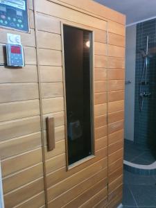 布尔加斯Family Hotel Central的浴室设有木制门,配有淋浴