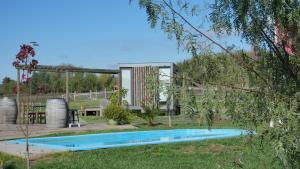 圣克鲁兹Cabañas y Padel Tinycolchagua cl的一座房子的院子内的游泳池