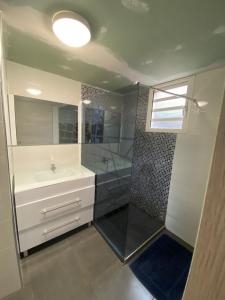 Le GuillaumeOdelil的带淋浴、盥洗盆和镜子的浴室