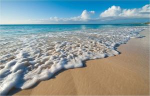 格雷斯湾格雷斯湾俱乐部酒店的沙滩上和水面上都带有泡沫的海滩