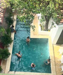 莱昂利昂酒店的一群人在游泳池玩耍